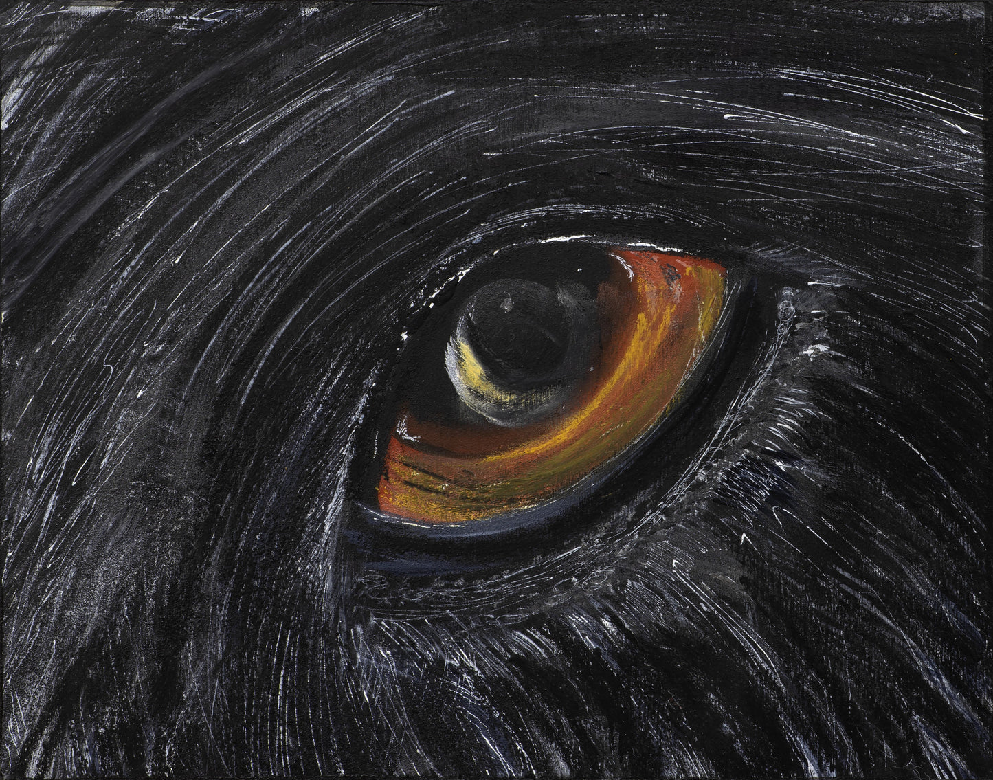 Wolf Eye