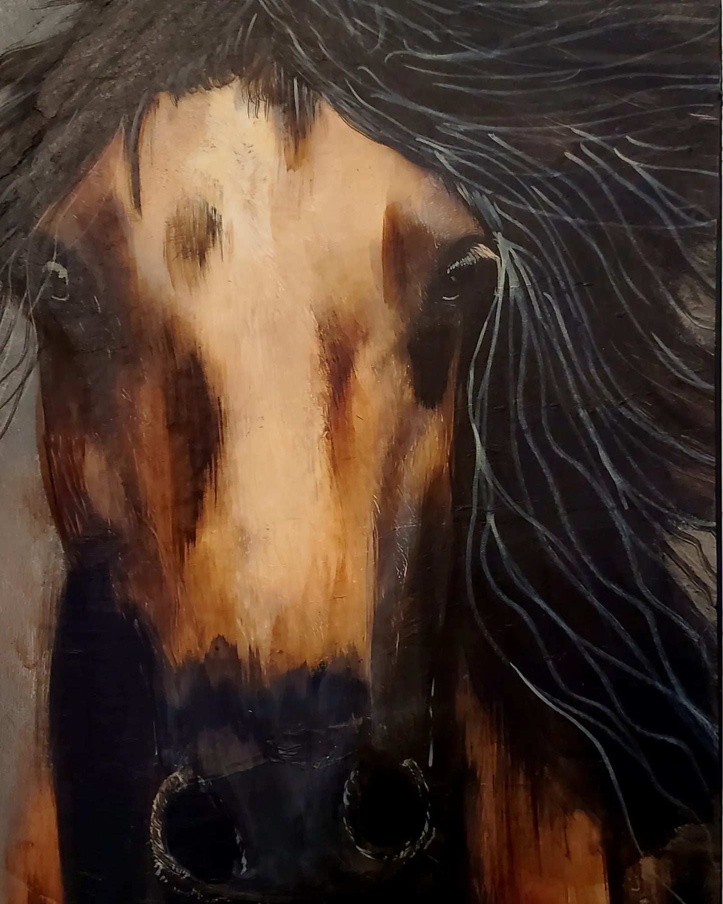Horse 1