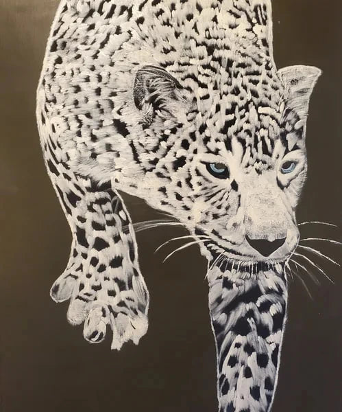 Leopard